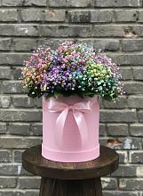 Цветочная композиция из Гипсофила и Розы в шляпной коробке #REPLACE_PRED# Пересвете
