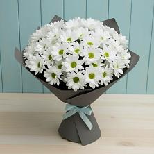 Букет цветов из:  Хризантемы в Пересвете