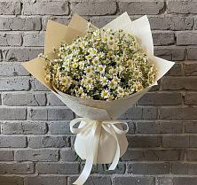 Букет цветов из:  Ромашки #REPLACE_PRED# Пересвете