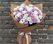 Букет цветов из:  Хризантемы в Пересвете