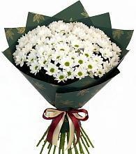 Букет цветов из:  Хризантемы в Пересвете