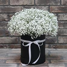 Цветочная композиция из Гипсофила в шляпной коробке в Пересвете