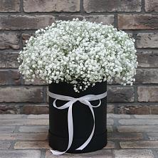 Цветочная композиция из Гипсофила в шляпной коробке в Пересвете